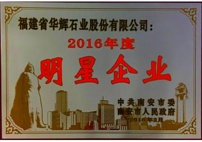 2016年明星企業(yè)
